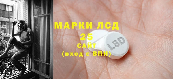 spice Богородск