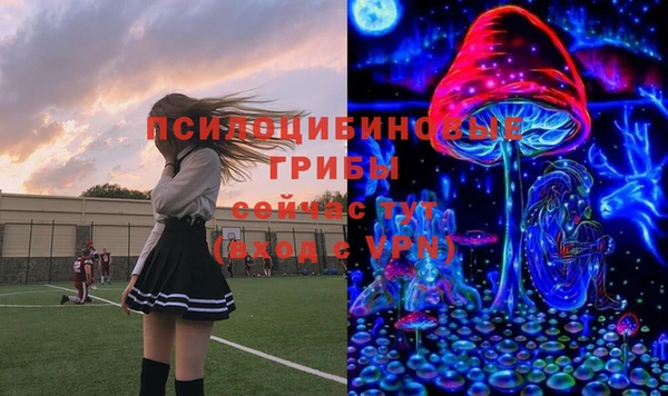 бутират Богородицк