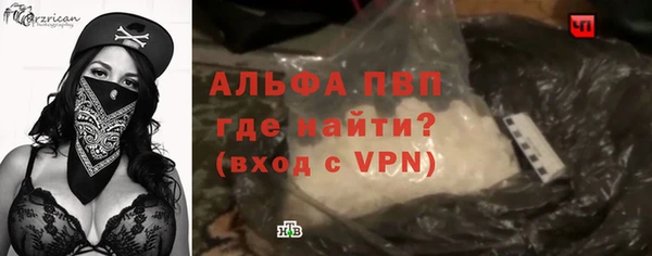 spice Богородск