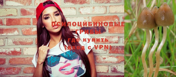 бутират Богородицк