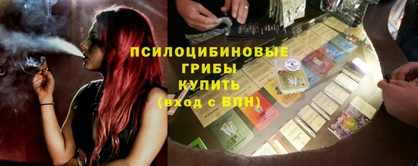 spice Богородск