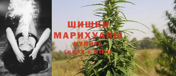 spice Богородск