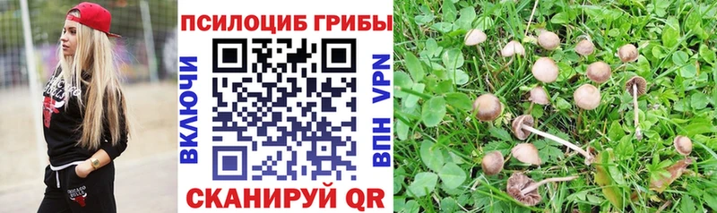 Псилоцибиновые грибы GOLDEN TEACHER Гороховец